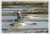 marais-salants-batz-sur-mer-guerande-L-12